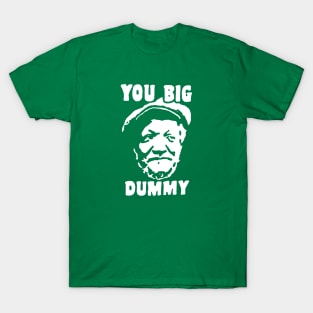 You Big Dummy T-Shirt